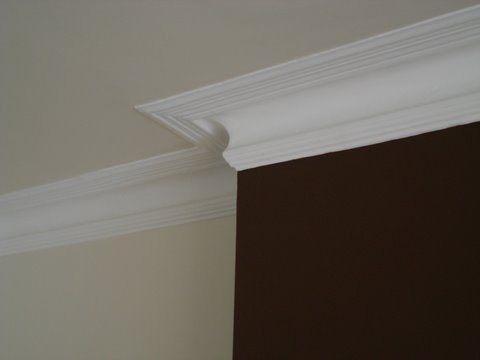 Ornate coving with a contrasting feature wall