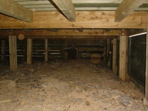 Structural timber joists and supports